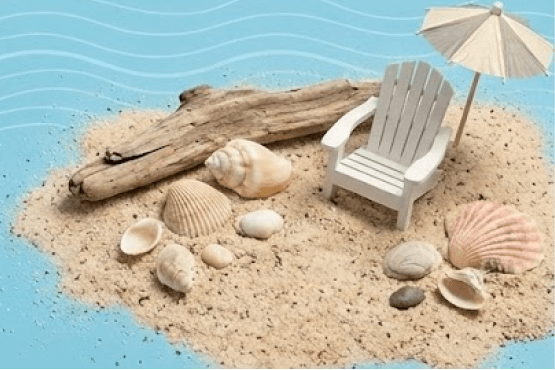 Beginner Friendly Beaches