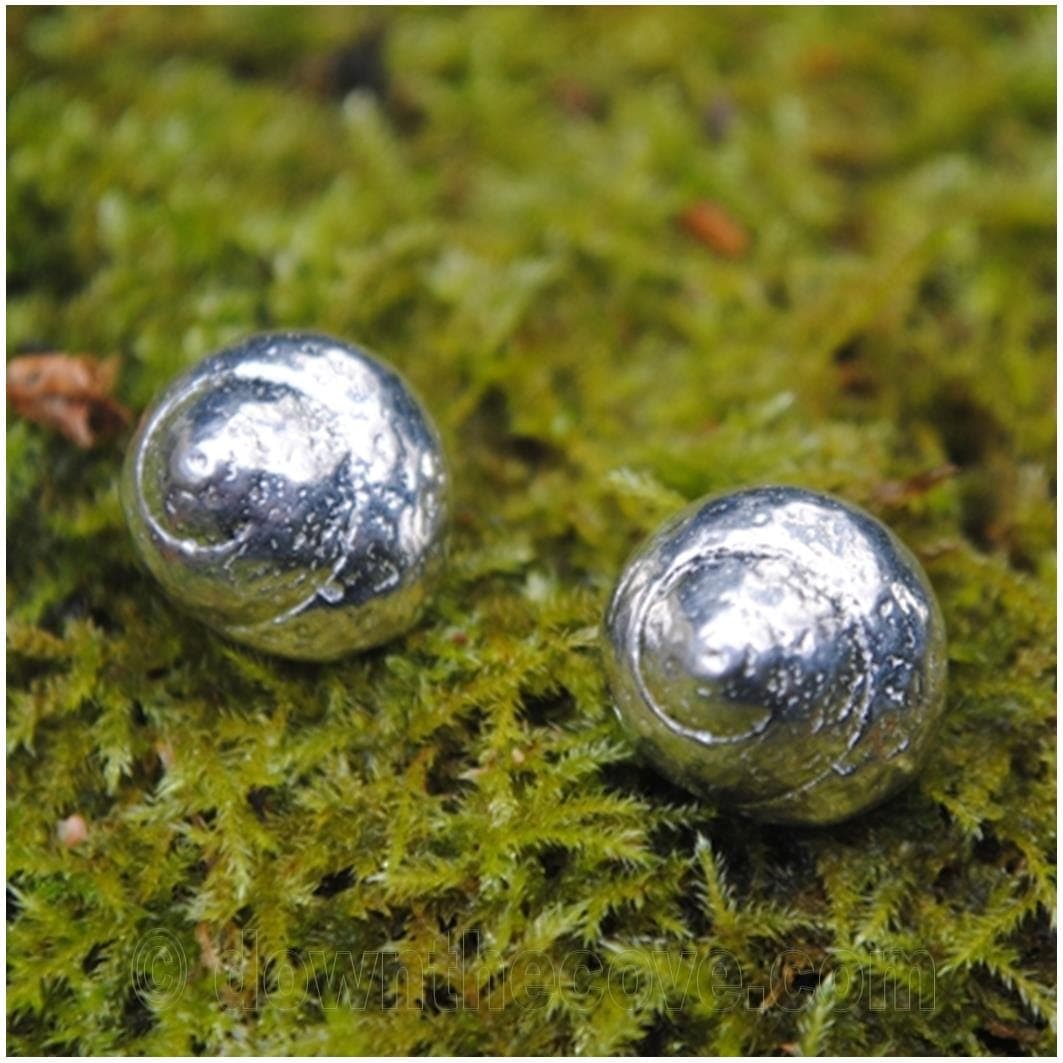 Periwinkle Shell Stud Earrings