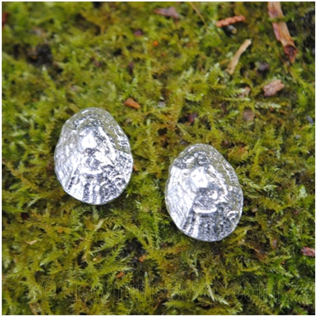 Limpet Shell Stud Earrings