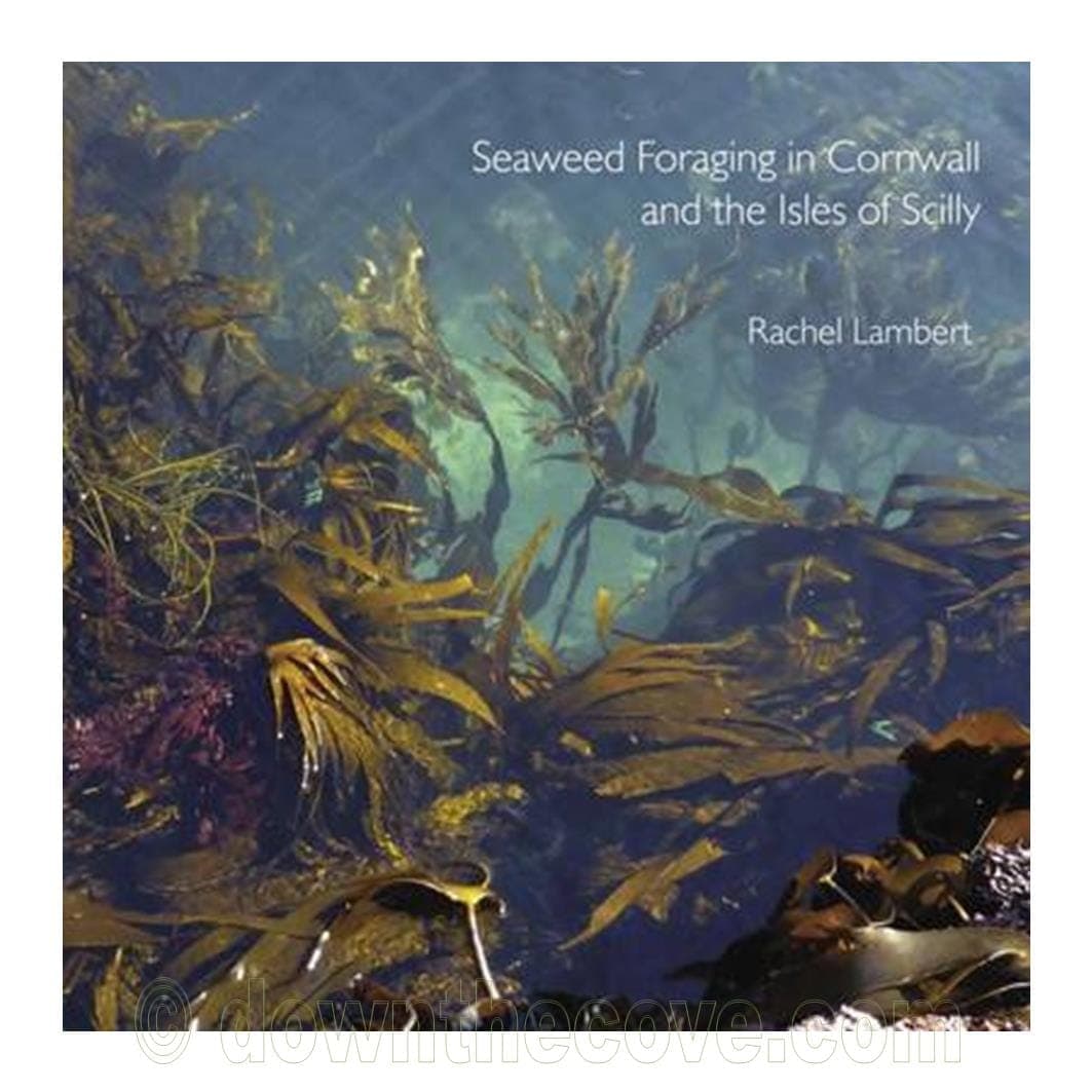 Seaweed Foraging in Cornwall & the Isles of Scilly