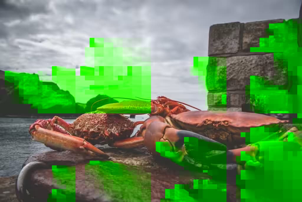 Buying Shellfish