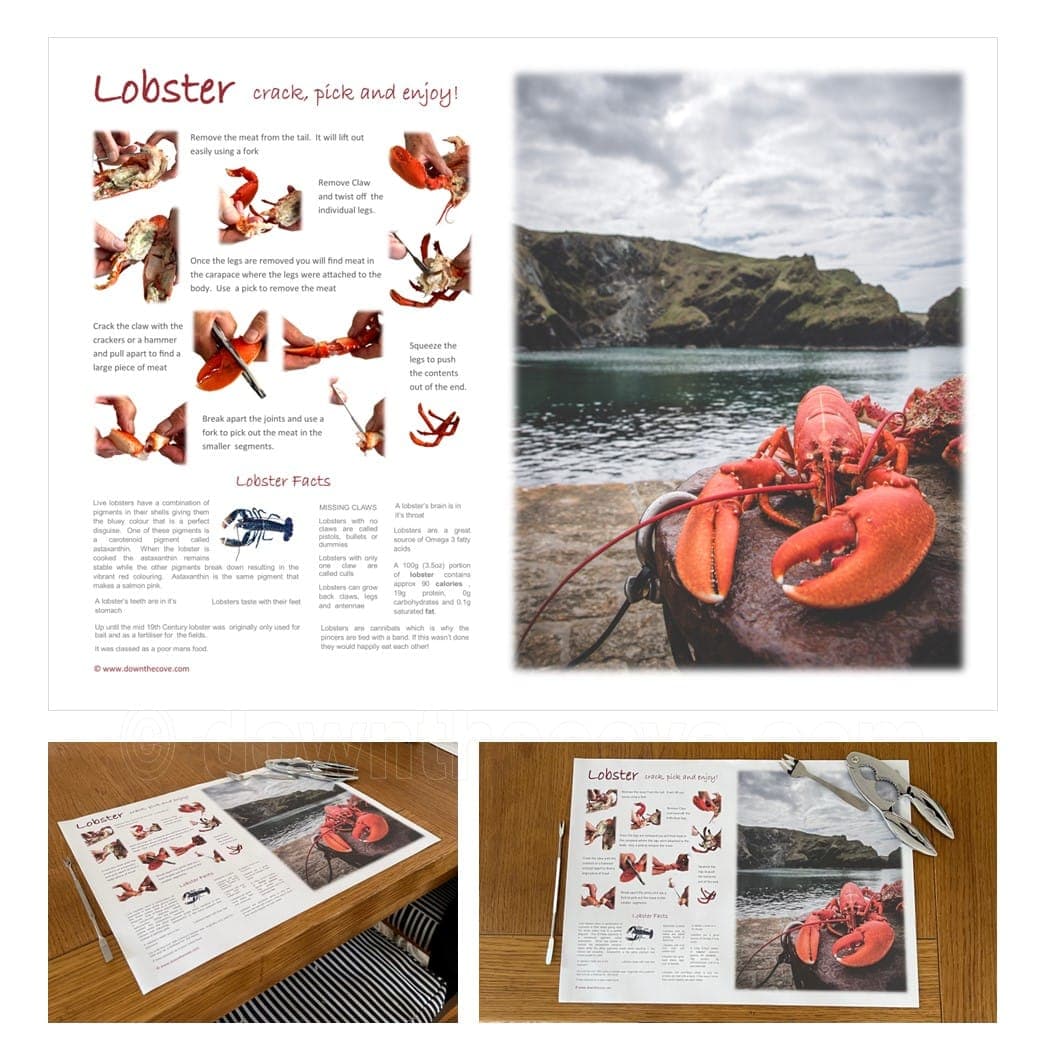 How to Eat a Lobster Placemats