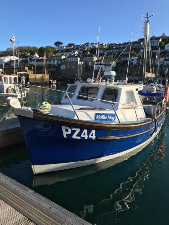 Mollie May Boat Trips - Porthleven & Newlyn
